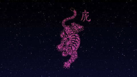 Colorful looping animation fireworks with Chinese language greeting text Happy New Year 2022, TIGER on dark black night sky and stars. (Chinese translation: Happy Chinese new year 2022,year of TIGER)
