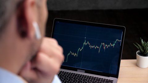 мужчина задумчиво смотрит на график доходности на экране ноутбука