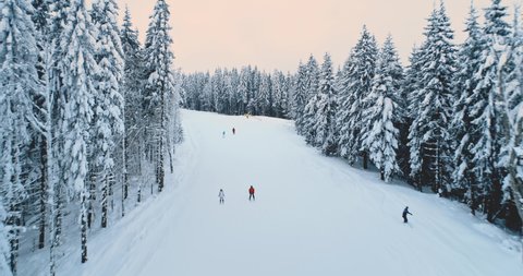 People skiing on snow hills mountain ski resort. Winter scene with pine tree forest. Active sport holidays. Wild nature landscape, travel destination, sport background. Cinematic aerial drone flight