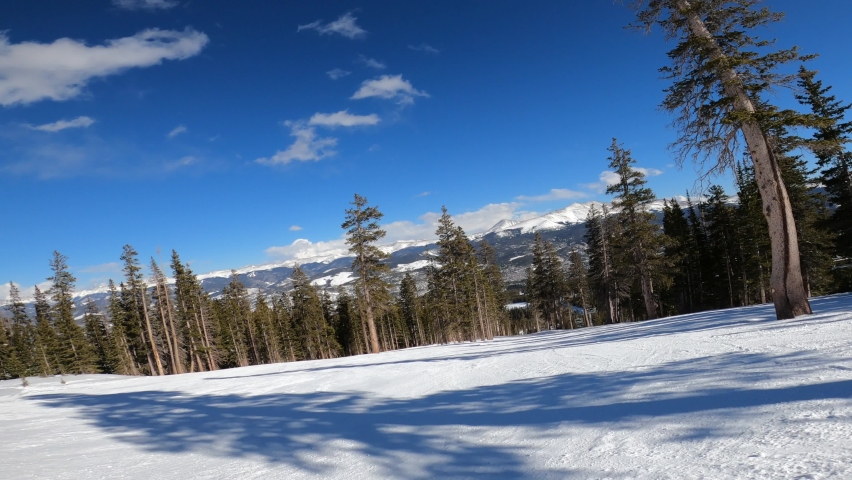 Skiing alone downhill between pine trees at Breckenridge ski resort, Colorado. Beautiful sunny day with blue sky.