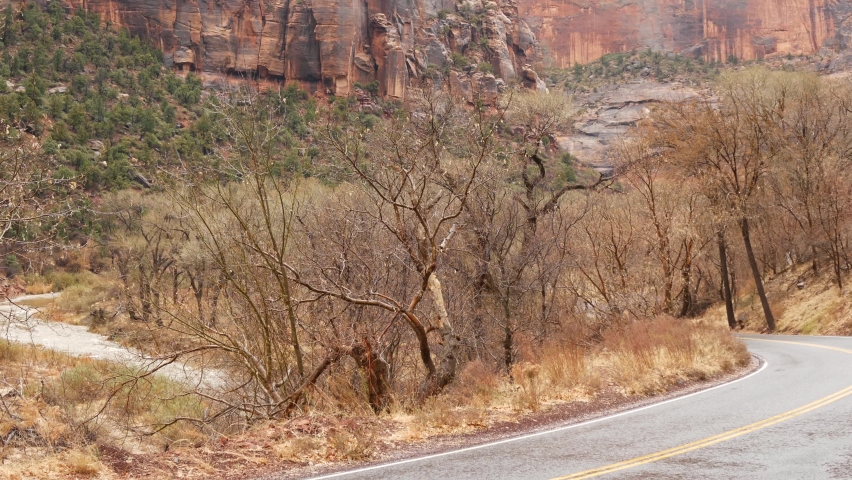 Red steep cliffs in Zion Canyon, Utah, USA. Hitchhiking trip, traveling in America, autumn journey. Rain, rocks and bare trees. Foggy weather and calm fall atmosphere. Road with yellow dividing line.