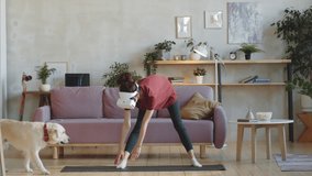 Young sporty woman in VR headset doing stretching exercises on mat at home while adorable golden retriever dog walking around living room - Powered by Shutterstock - Get 15% off with code: PIKWIZARD15