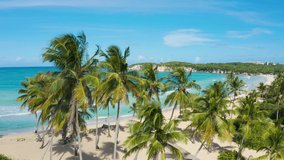 Beautiful palm beach Macao in Punta Cana Dominican Republic. Tall coconut trees on the white sand at the edge of blue sea. Summer on paradise island landscape. Travel to Punta Cana Dominican Repubic.