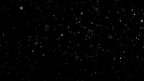 Natural Organic Dust Particles Floating On Black Background. Dynamic Dust Particles Randomly Float In Space. Shimmering Glittering Dust Particles With Bokeh. Slow motion on Black Background.