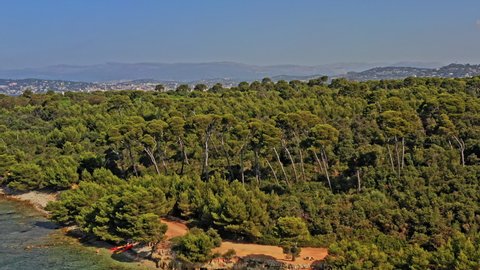 Cannes France Aerial v24 drone flyover pristine eucalyptus trees forest at sainte marguerite toward the sea overlooking pointe croisette - July 2021