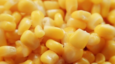 Tinned sweet corn kernels extreme close up rotating very slowly stock footage