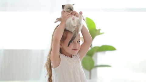 Beautiful child girl holding ragdoll kitten in her hands and smiling. Happy female kid with fluffy kitty cat at home