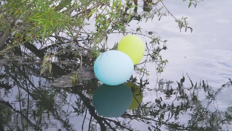 These two colored balloons got tangled behind a willow bush growing in the river and will form part of the river garbage in the near future, pollution of water bodies
