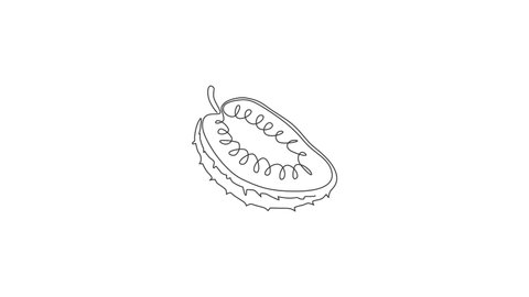 Animation of one line drawing of half sliced healthy organic soursop for orchard logo. Fresh tropical fruitage concept for fruit garden icon. Continuous line self draw animated. Full length motion.