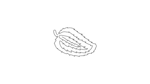 Animated self drawing of single continuous line draw whole healthy organic soursop for orchard logo identity. Fresh summer fruitage concept for fruit garden icon. Full length one line animation.