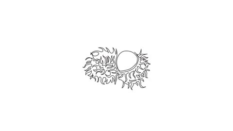 Animated self drawing of continuous line draw half sliced healthy organic rambutans for orchard logo identity. Fresh summer fruitage concept for fruit garden icon. Full length single line animation.