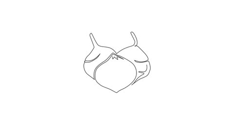 Animated self drawing of one continuous line draw whole healthy organic jicama for orchard logo identity. Fresh turnip vegetable concept for vegan farm icon. Full length single line animation.