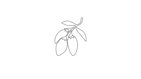 Animated self drawing of one continuous line draw stack whole healthy organic goji berries for orchard logo identity. Fresh fruitage concept for fruit garden icon. Full length single line animation.