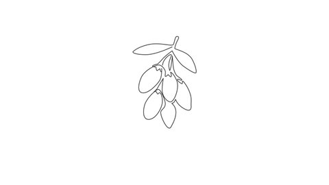 Animated self drawing of single continuous line draw heap healthy organic goji berries for orchard logo identity. Fresh gojiberry fruitage concept for fruit garden icon. Full length one line animation