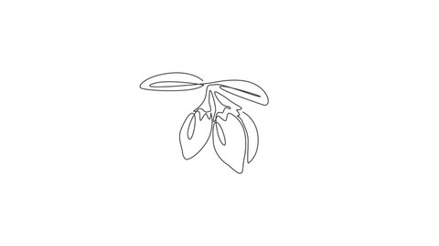 Animation of one line drawing of pile healthy organic goji berries for orchard logo. Fresh gojiberry fruitage concept for fruit garden icon. Continuous line self draw animated. Full length motion.