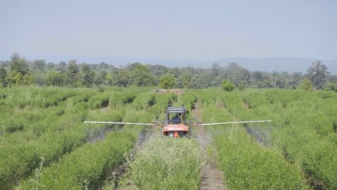Wide shot of a worker spraying pesticides or fertilizers with the help of boom sprayer vehicle or similar  agriculture machine in a farming green field of South Asian region 