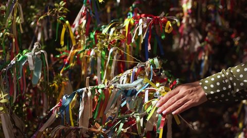 Close-up view 4k stock video footage of many bright colourful sunny ribbons hanging on branches of wish tree. Female traveler hand touching branches with ribbons