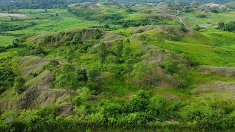 Aerial view of grass on a cattle farm, (BPTU-HPT Indrapuri), Aceh, Indonesia.
