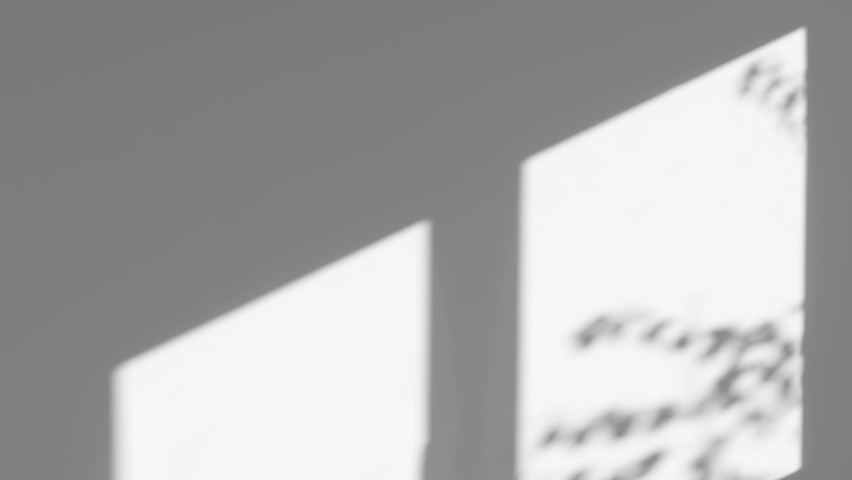 Window shadow on a gray wall with moving tree branches. Abstract, minimalistic background with silhouettes and sunlight. - Powered by Shutterstock - Get 15% off with code: PIKWIZARD15