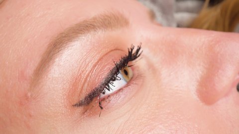 hazel brown eyes makeup