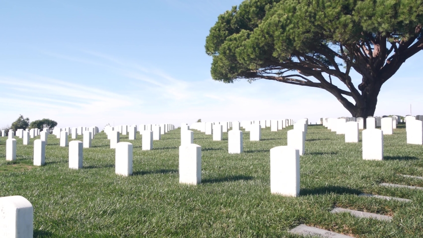Tombstones on american military national memorial cemetery, graveyard in USA. Headstones or gravestones and green lawn grass. Respect and honor for armed forces soldiers. Veterans and Remembrance Day.