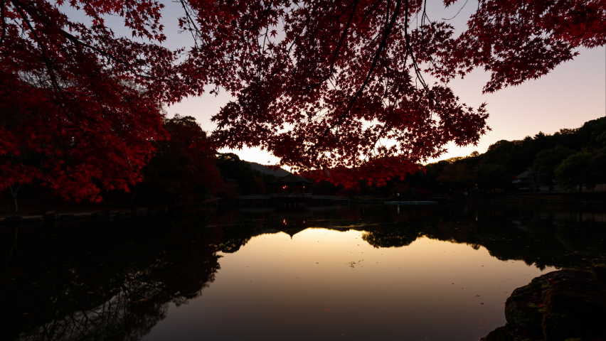 Time lapse of sunrise thru Japanese Maple over reflective pond in Nara, Japan Royalty-Free Stock Footage #1082445205