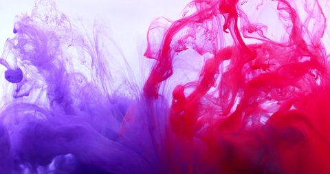 Red Purple Inks Aquarium Meet Them Stock Footage Video (100% Royalty ...