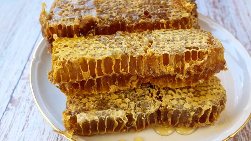 Liquid golden honey flows down the honeycomb on the plate. Organic food and healthy food concept Royalty-Free Stock Footage #1082456515