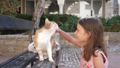 Cute kid girl pats strokes a homeless disabled cat without one paw in Paphos Cyprus