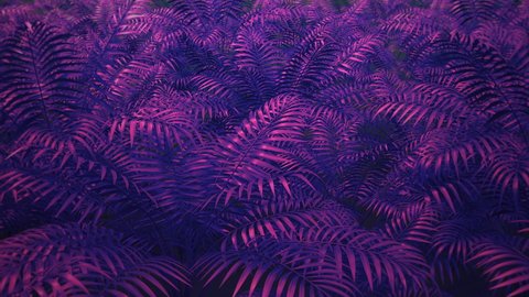 Leaves, grass, branches dynamic motion. Camera moves along botanical floral background. Tropical plants. Spring summer mood. Retro wave style colors, 80s 90s style 3D Render 4K seamless loop animation