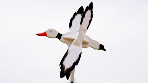 weather vane. Funny, handmade, wooden weather vane in the form, shape of a flying goose or duck, is spinning in the wind. close-up. White sky background