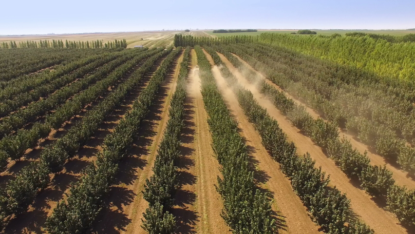 Aerial Shot Over Plantations of Hazelnut ; Aerial shot of a hazelnut plantation during harvest with a modern combine Royalty-Free Stock Footage #1082492230