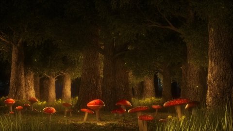 The Magic Forest of the Red Mushrooms - Nature Landscape Loop Background