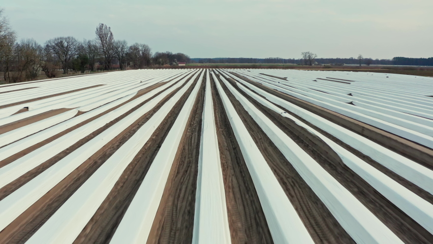 Drone flight forward over a large asparagus field covered with foil in Germany. You can see the furrows in the field. In the background you can see more asparagus fields and forests.
