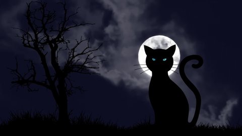 Black cat with blue eyes sitting against full moon. Scary black cat sitting on grass near bare tree at dark halloween night with cloudy sky and moon