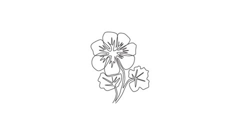 Animated self drawing of continuous line draw beauty fresh geranium for wall decor home art poster print. Printable decorative cranesbills flower for invitation card. Full length one line animation.