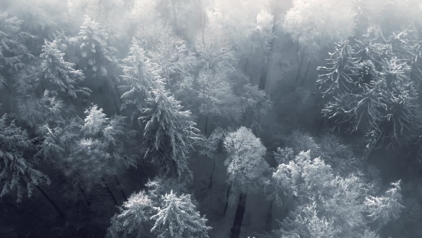 Snow covered trees in a forest with moving mist and beautiful light, aerial birds eye view winter footage with the camera slowly spinning and tilting   Royalty-Free Stock Footage #1082531269