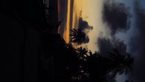 Vertical video, silhouette of palm trees at dusk sunset by ocean coast