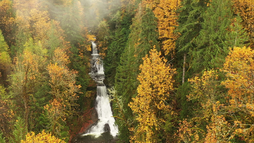 Racehorse Falls, Washington. This is a beautiful collection of four waterfalls where Racehorse Creek carves out a narrow canyon on its final approach to the Nooksack Valley near Mt. Baker.