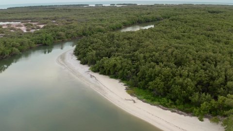 Holbox mangrove river aerial 4k Mexico 