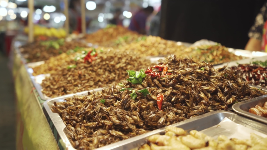 Worm, Spider, Cricket, Grasshopper. Fried insects fresh on street foods of Khao San Road in Bangkok, Thailand. Food foreigners travel walking market eat popular. Thai foods local mostly Asia.  Royalty-Free Stock Footage #1082571895