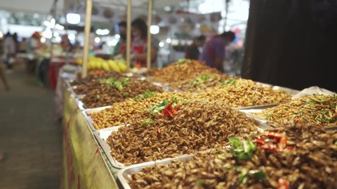 Worm, Spider, Cricket, Grasshopper. Fried insects fresh on street foods of Khao San Road in Bangkok, Thailand. Food foreigners travel walking market eat popular. Thai foods local mostly Asia. 