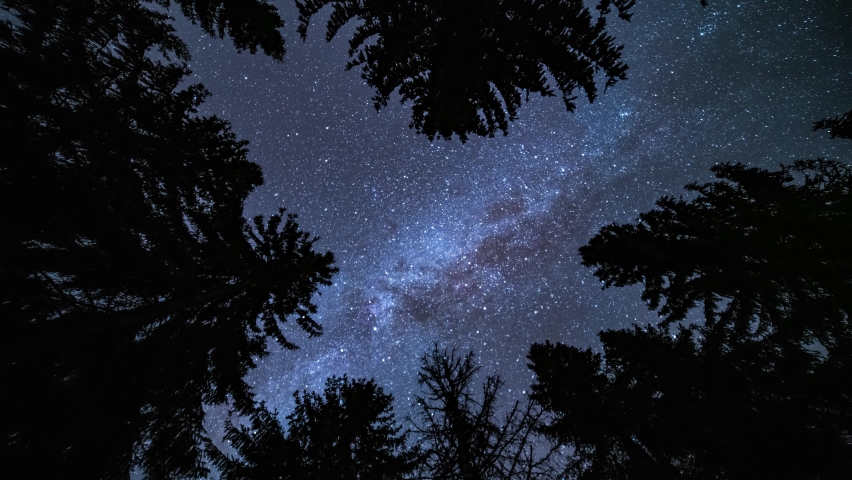 Time lapse of milky way galaxy stars light turning looking up in dark forest silhouette Astronomy Background 8K
