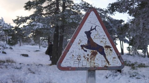 Old Sign shows a deer in a snowy place outdoors with pines covered with ice and snow, and a couple passing in the background. Winter scene in the mountains at sunset.
