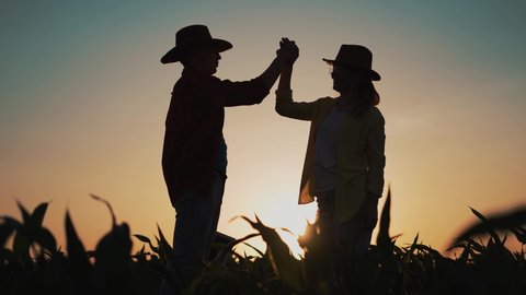 Agriculture. Farmers shaking hands. Agricultural contract. Green field of organic corn.Agriculture harvesting.Two farmers shaking hands with business contract. Agricultural business.Organic corn field