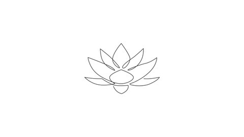 Animated self drawing of continuous line draw beauty fresh lotus for healthcare spa business logo. Printable decorative water lily flower concept home wall decor poster. Full length one line animation