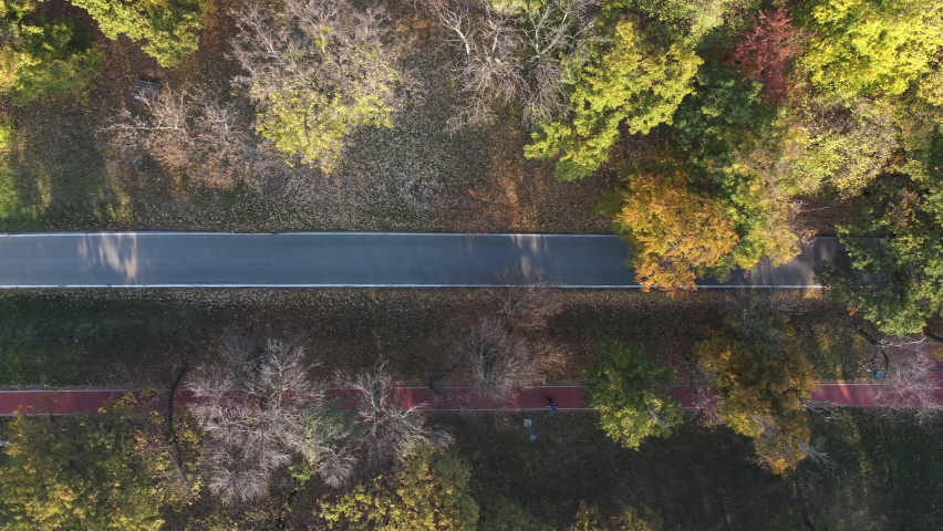 Car traffic on asphalt road in Kosutnjak forest in Belgrade, Serbia. Aerial shot.