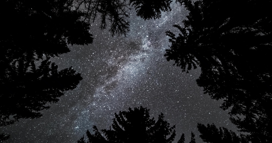 Magic beauty of milky way galaxy light turning in dark forest nature, looking up to universe astronomy time lapse 4K
