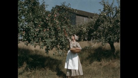 1960s: Woman works in kitchen. Stream. Barn. Woman picks fruit from trees. Woman uses tool to quickly peel apples.
