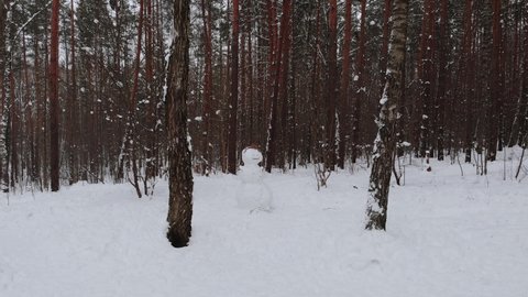 Large snowman stands between two birches in snowy winter forest. The hands of the ecological snowman are made of twigs, head is decorated with dried leaves. No people. Smooth frame movement.